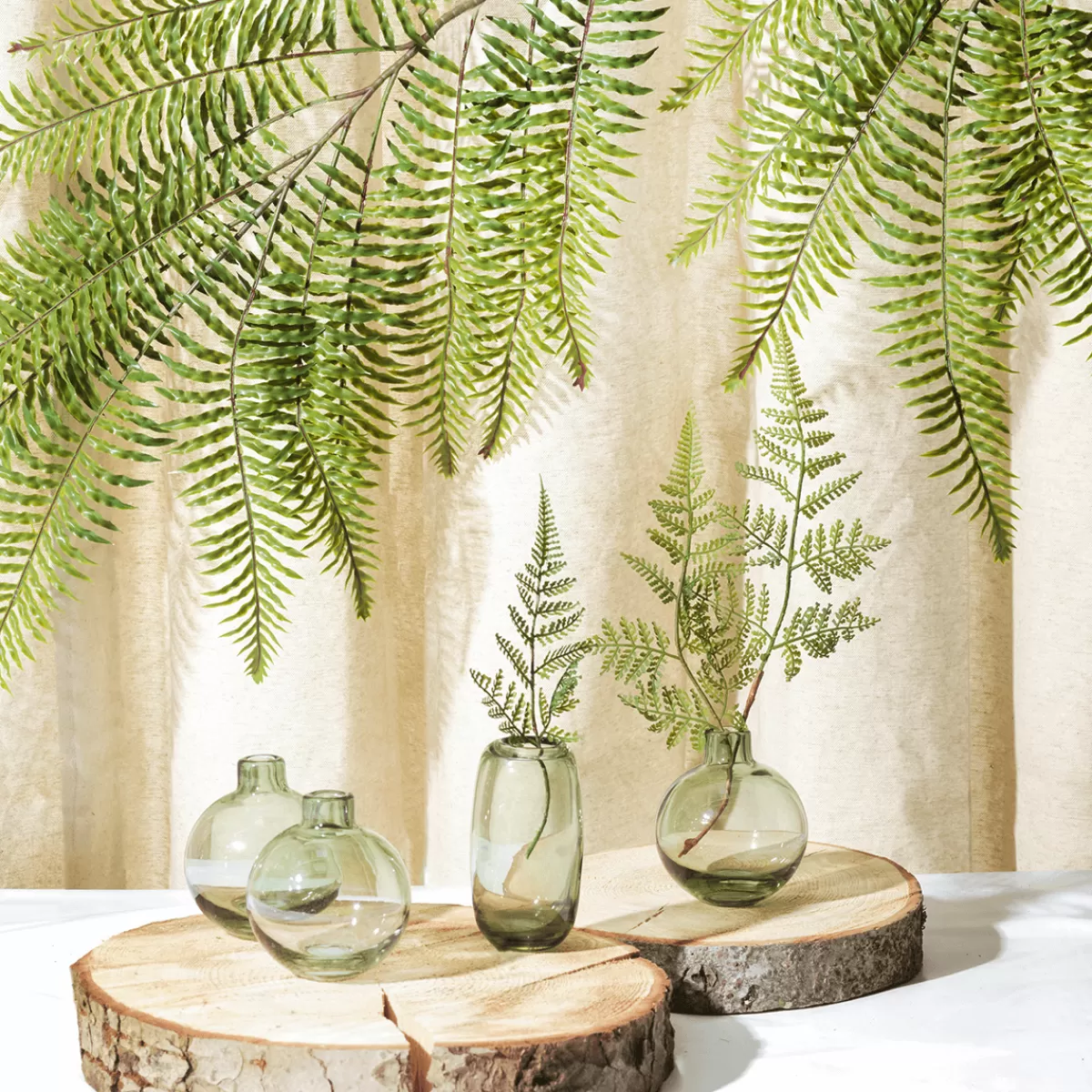 DecoWoerner Disque De Bouleau 16 X 2cm & 15 Cm Ø 3er Set