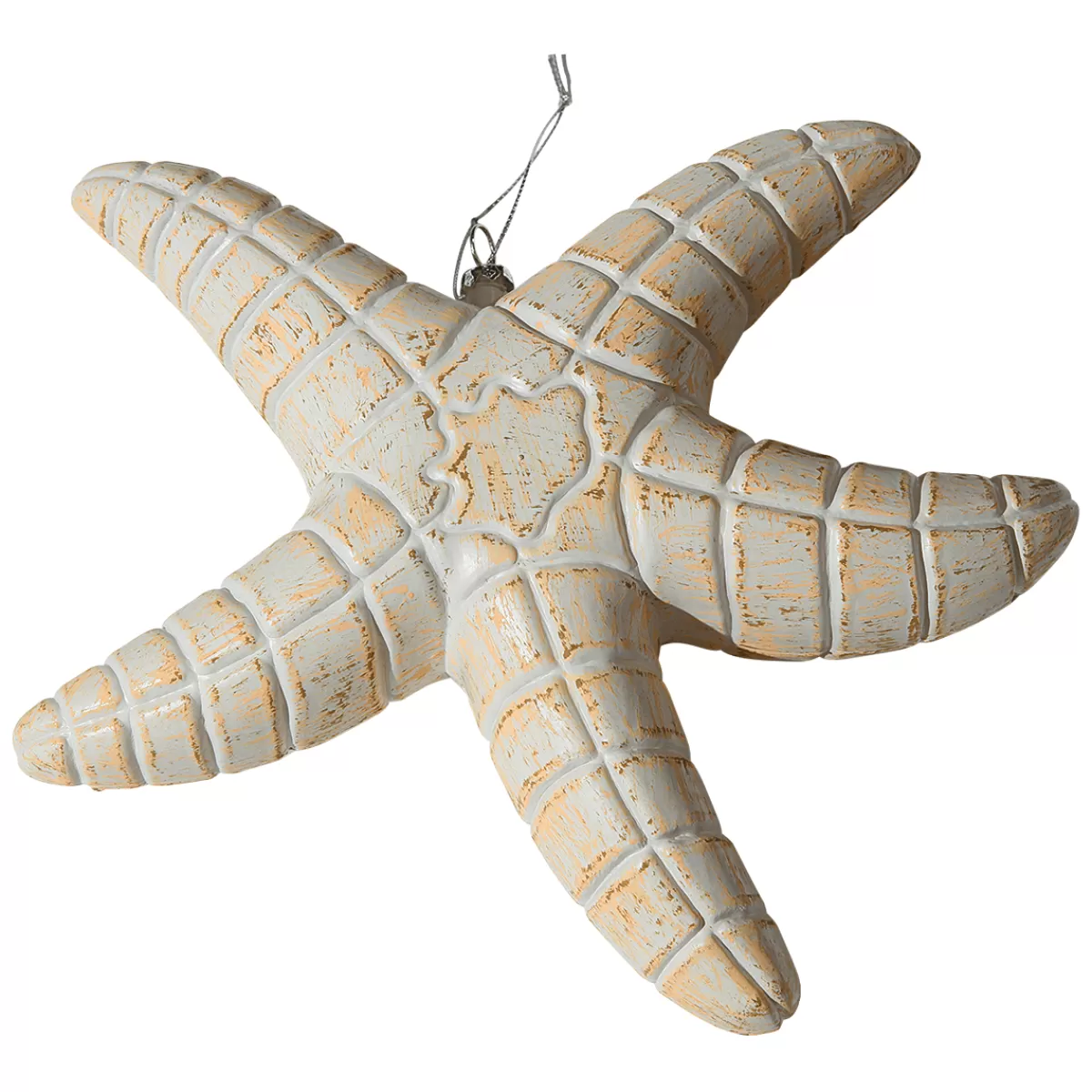 DecoWoerner Etoile De Mer Déco -brune, 25 Cm