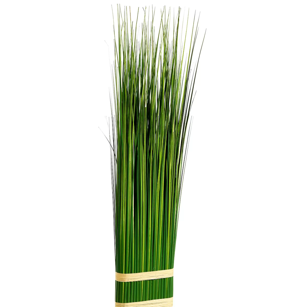 DecoWoerner Fagot D'herbe Déco 100 Cm