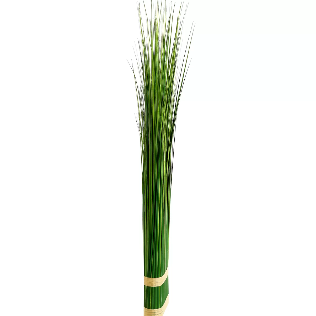 DecoWoerner Fagot D'herbe Déco 100 Cm