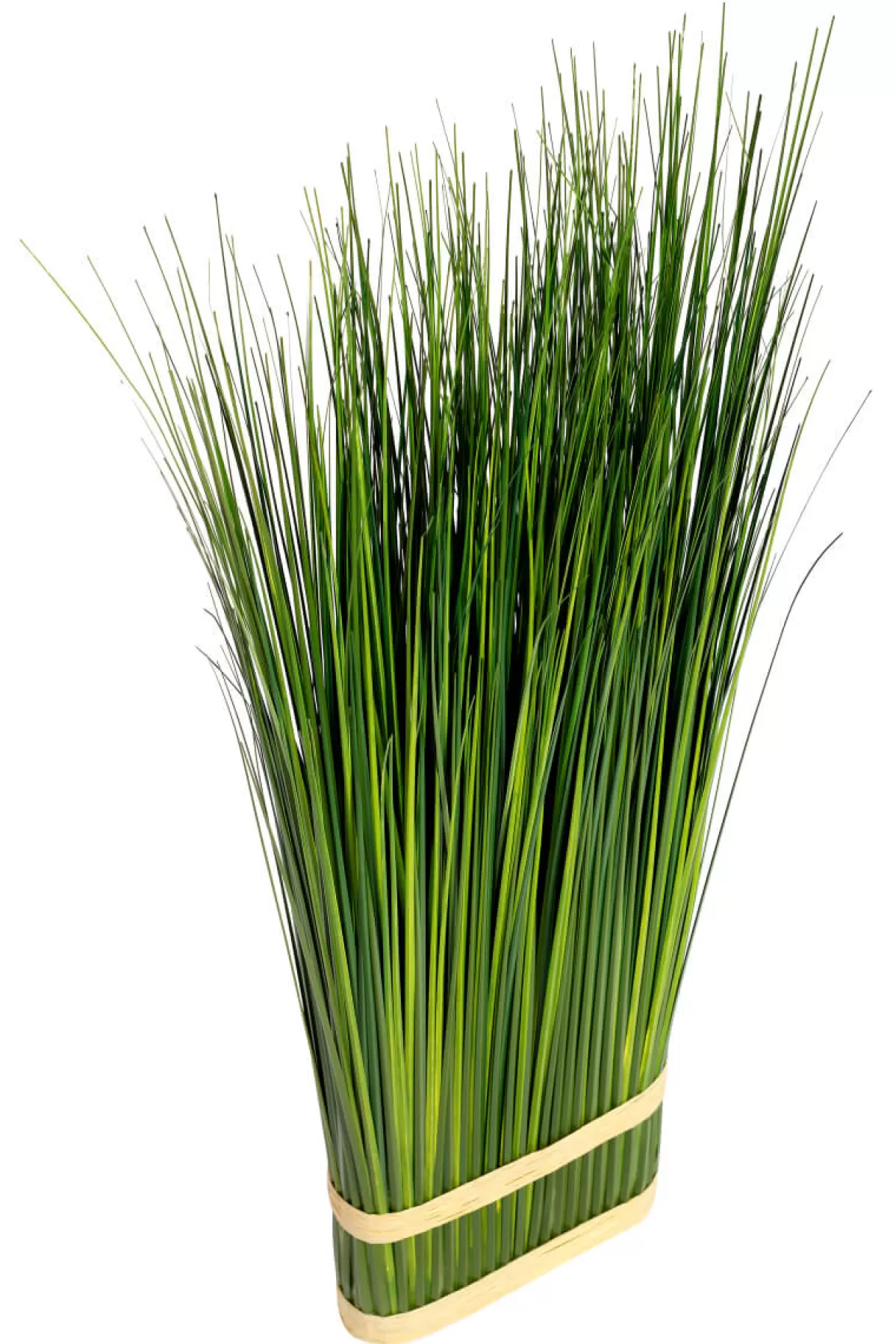 DecoWoerner Fagot D'herbe Déco 76 Cm