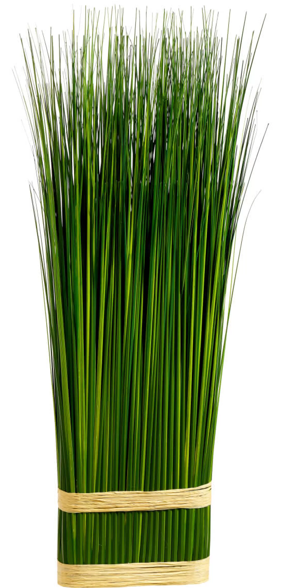 DecoWoerner Fagot D'herbe Déco 76 Cm