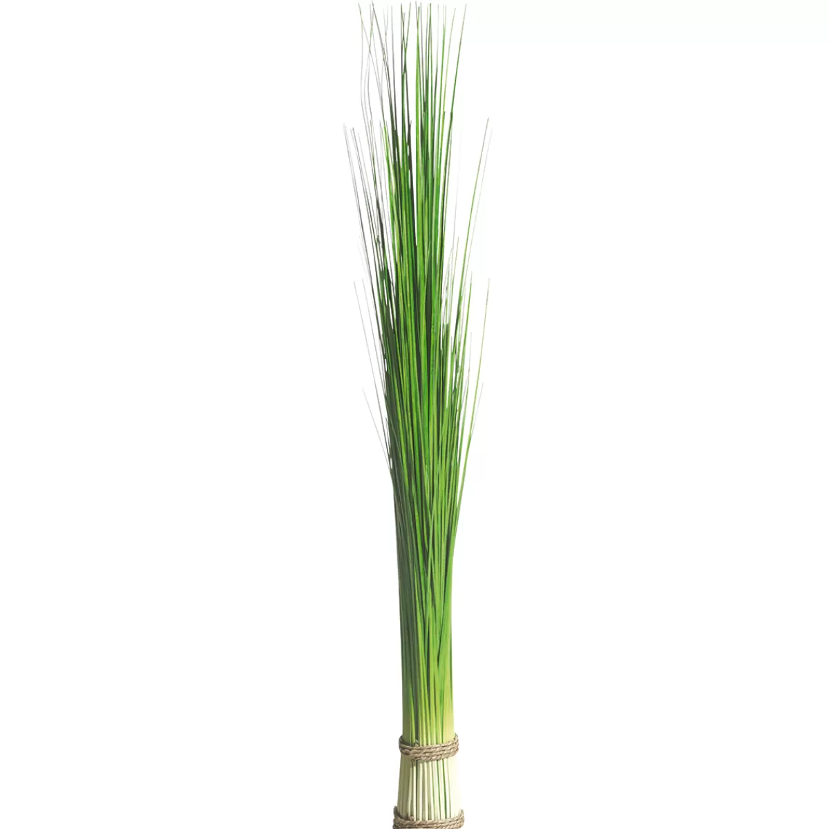 DecoWoerner Fagot D’herbe Déco Extra Long, 90 Cm