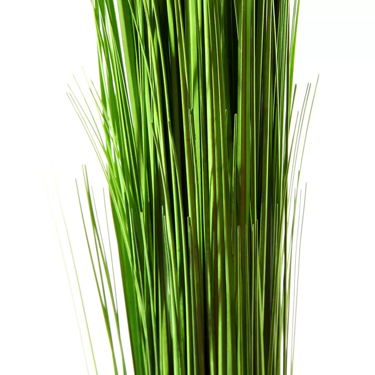 DecoWoerner Fagot D’herbe Déco Extra Long, 90 Cm