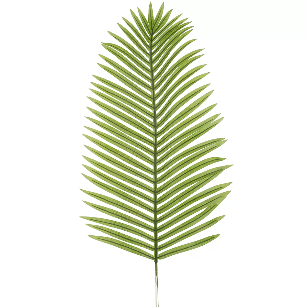 DecoWoerner Feuille D'areca Déco, Long. 115 Cm