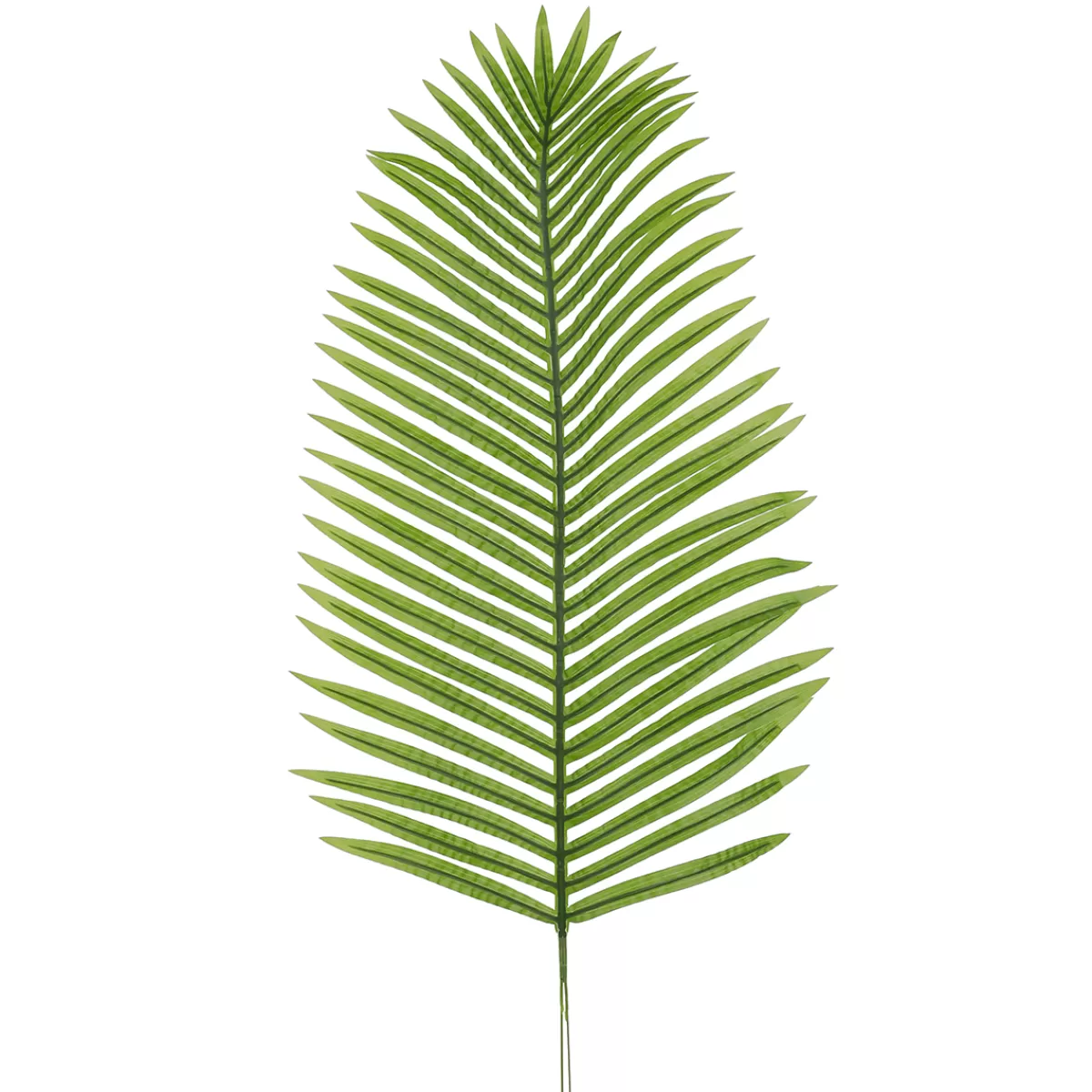 DecoWoerner Feuille D'areca Déco, Long. 98 Cm