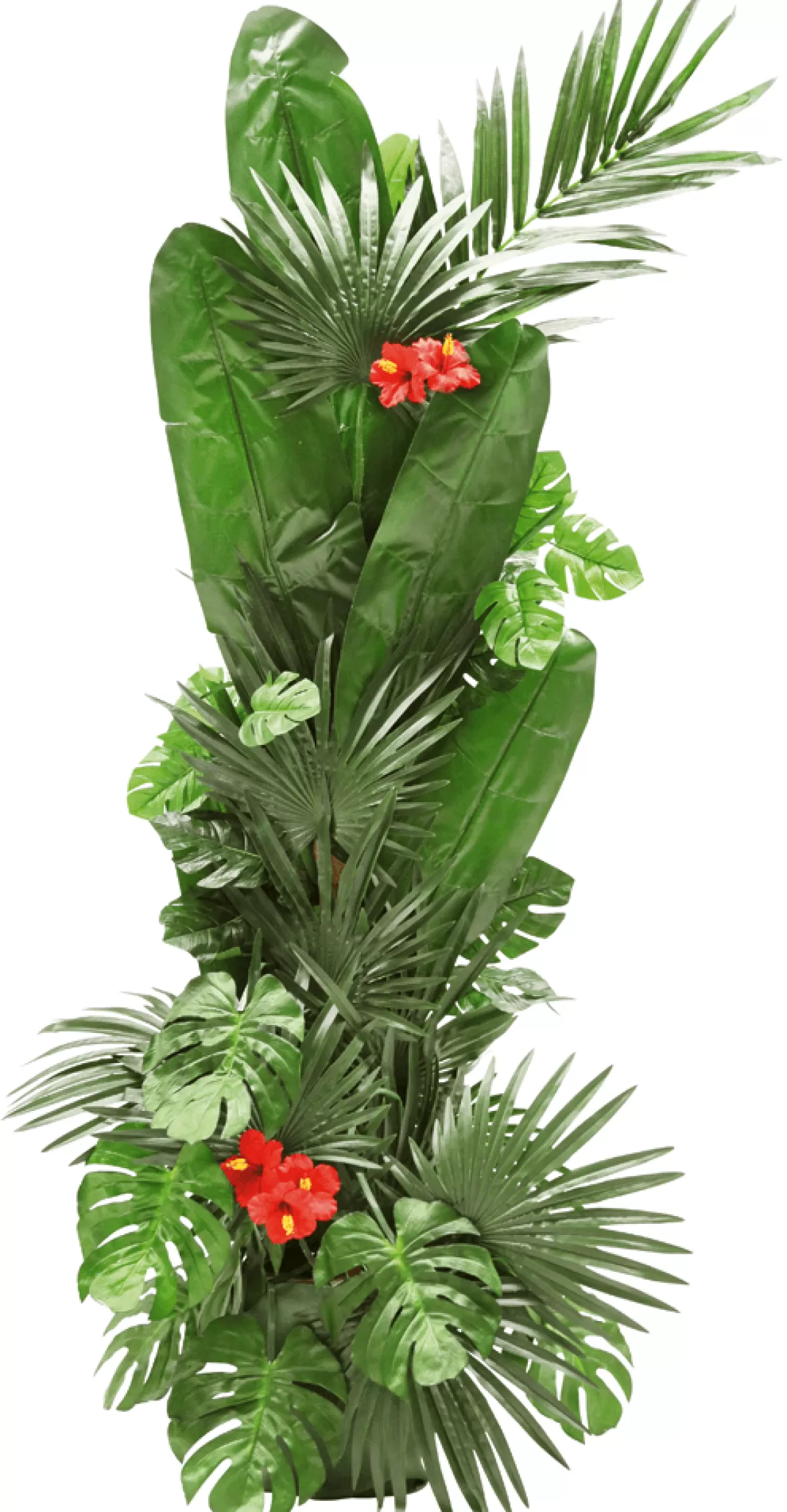 DecoWoerner Feuille De Palmier Nain Déco, Long. 66 Cm, 2 Pces