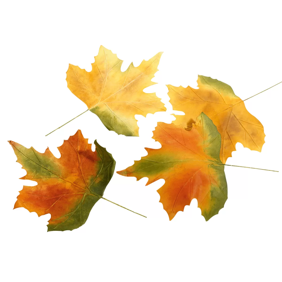 DecoWoerner Feuilles D'automne Déco 50 Cm, 4 Pces