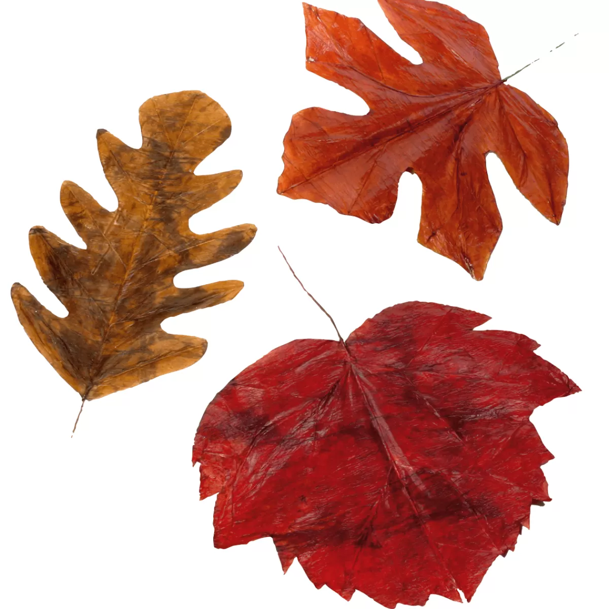 DecoWoerner Feuilles D'automne Déco 80 Cm, 3 Pces