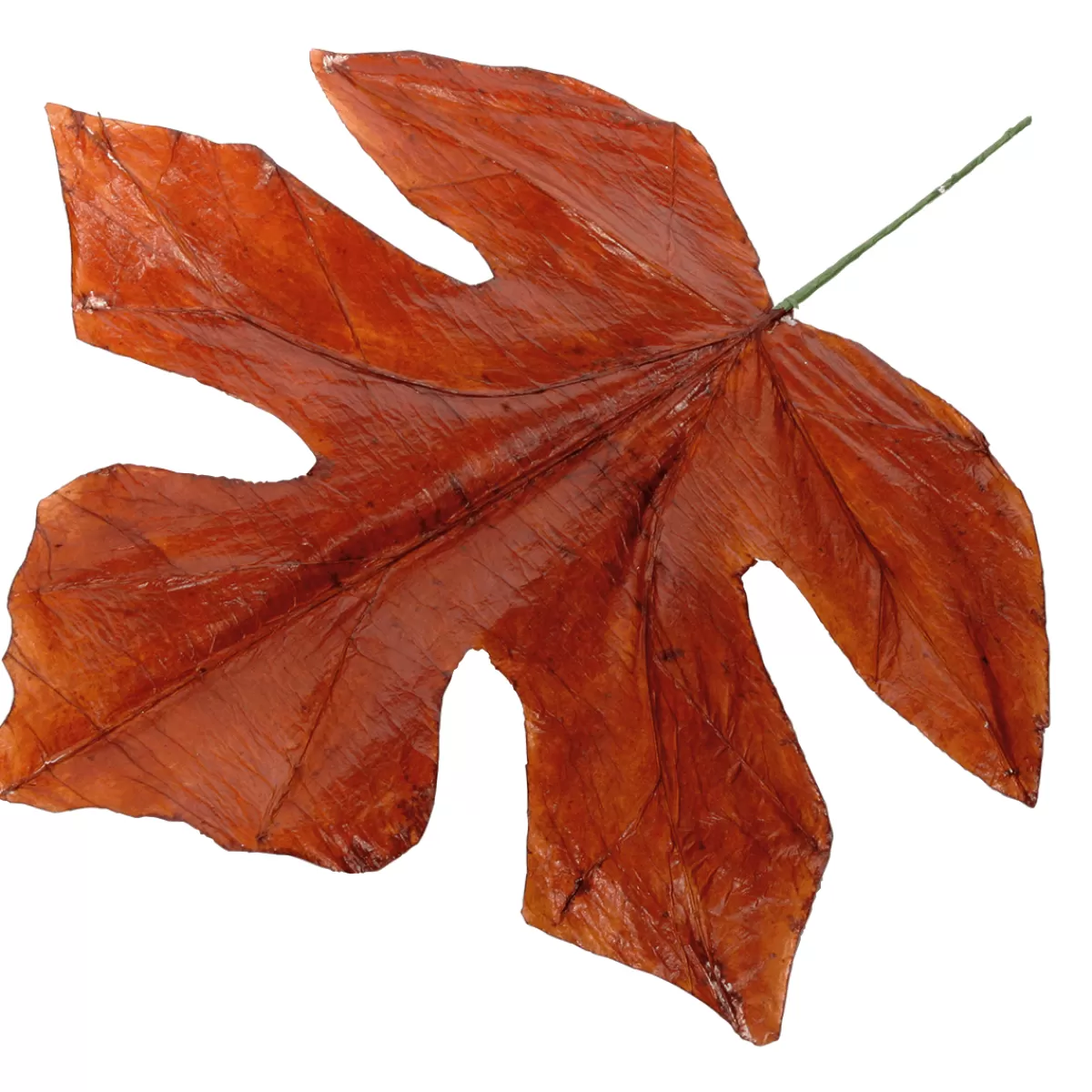 DecoWoerner Feuilles D'automne Déco 80 Cm, 3 Pces