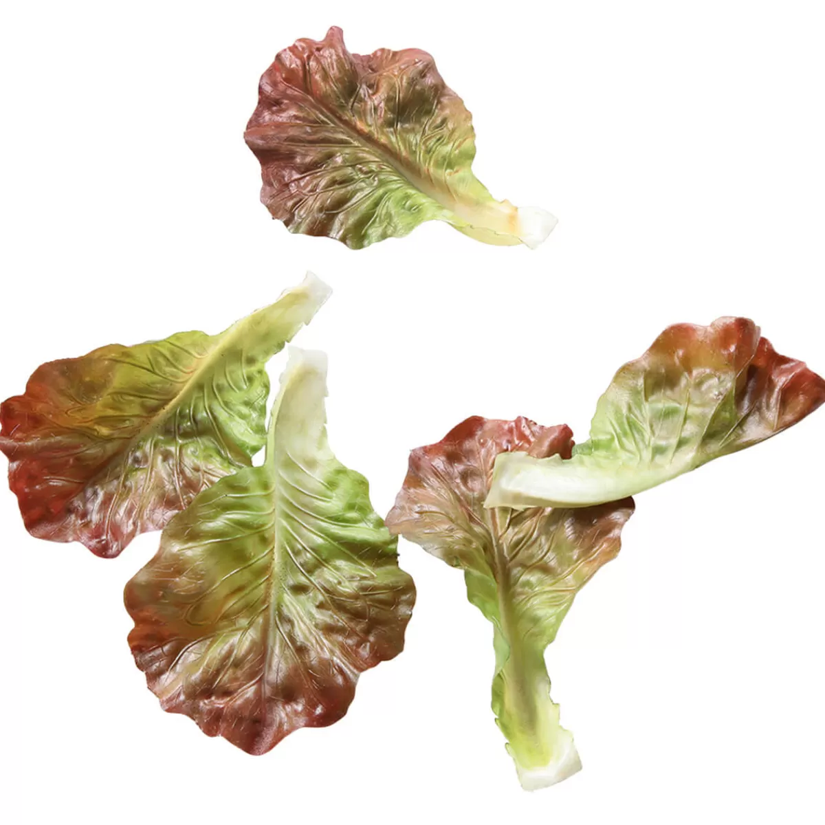 DecoWoerner Feuilles De Salade Rouge - Vert Factices, 5 Pièces