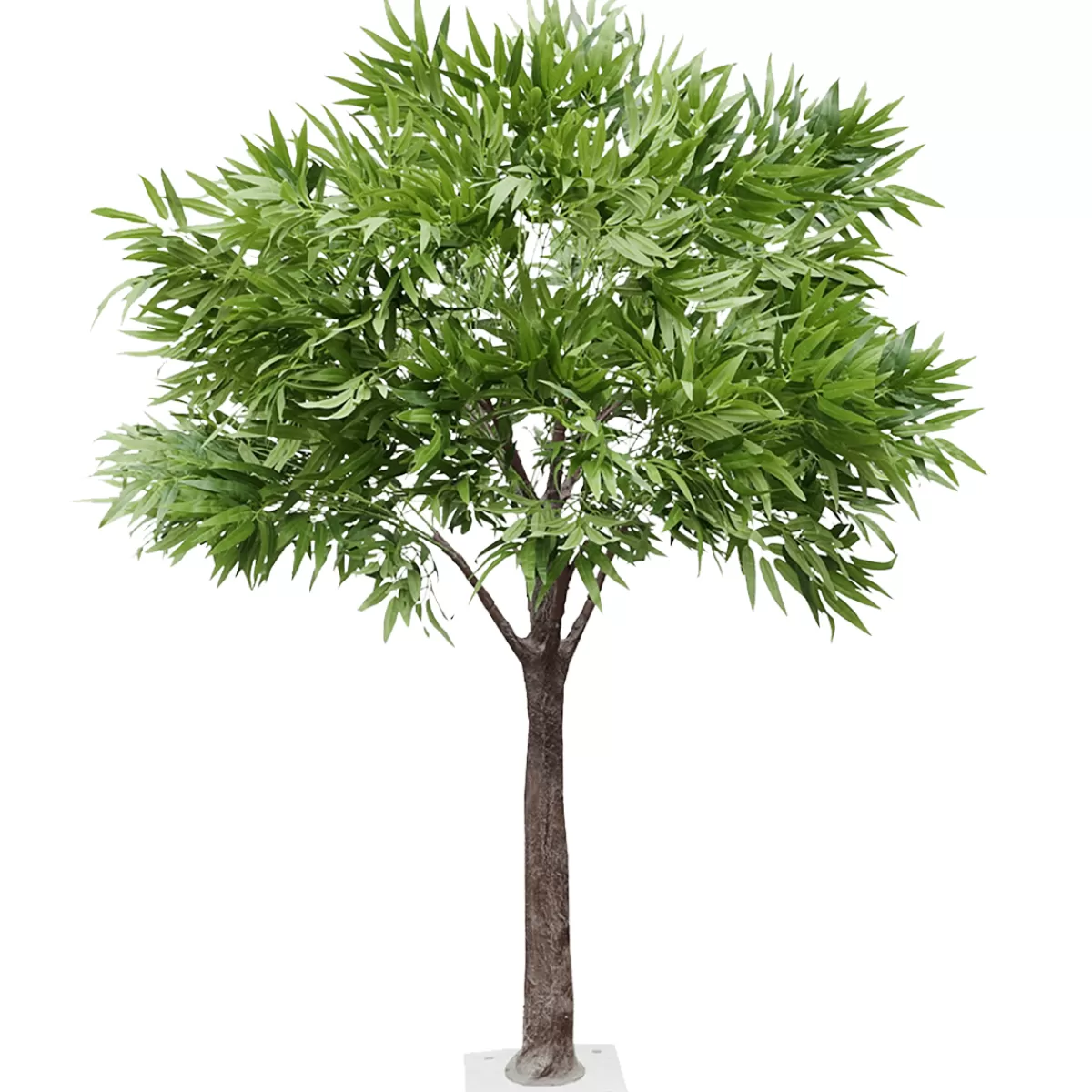 DecoWoerner Ficus Alii Artificiel, Hauteur 170 Cm