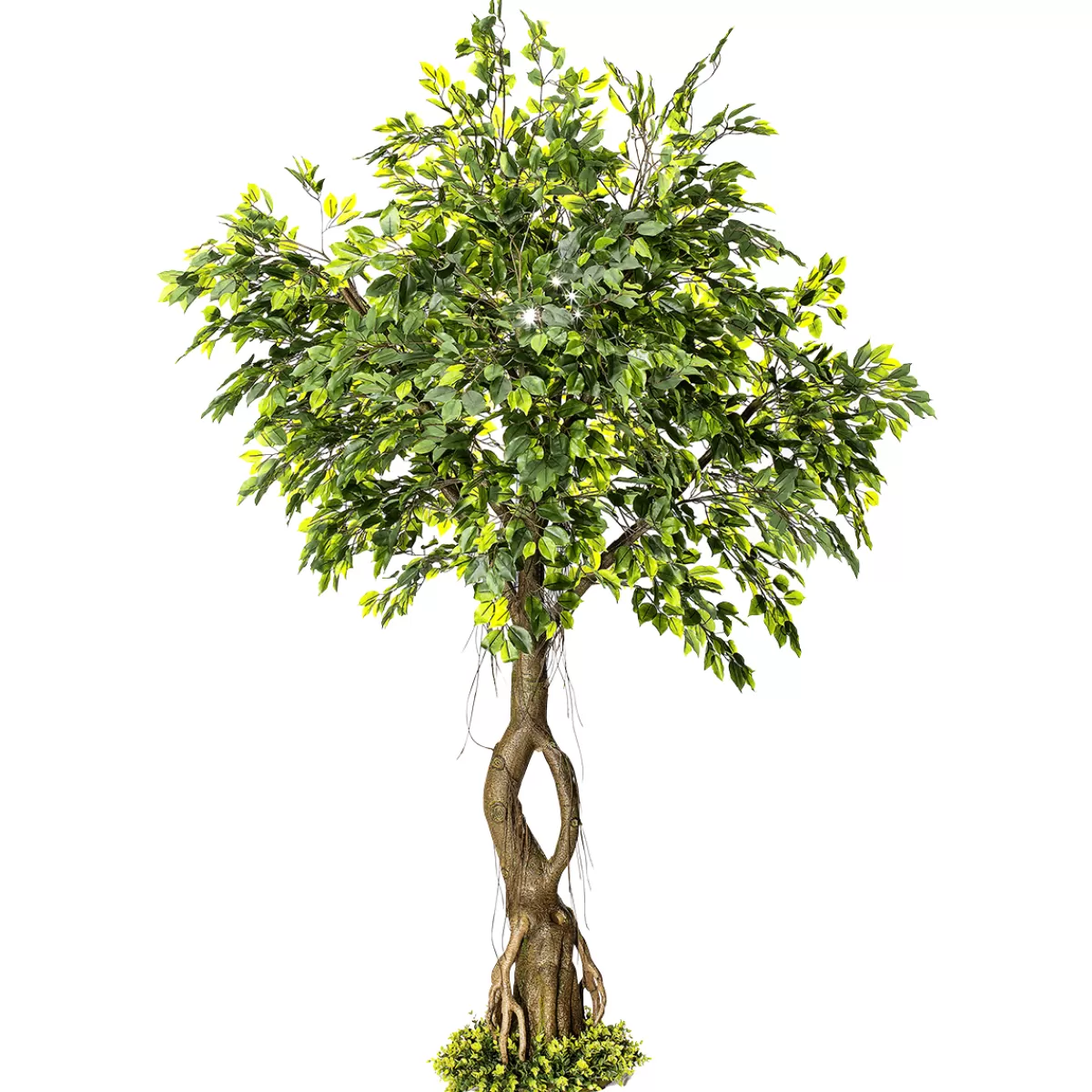 DecoWoerner Ficus Artificiel Avec Pied 245 Cm