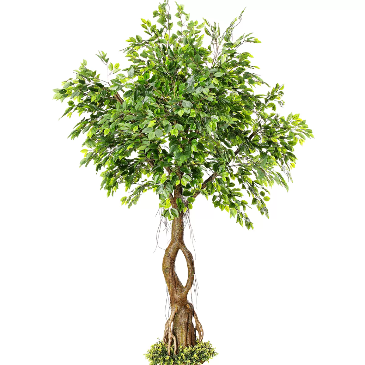 DecoWoerner Ficus Artificiel Avec Pied 245 Cm