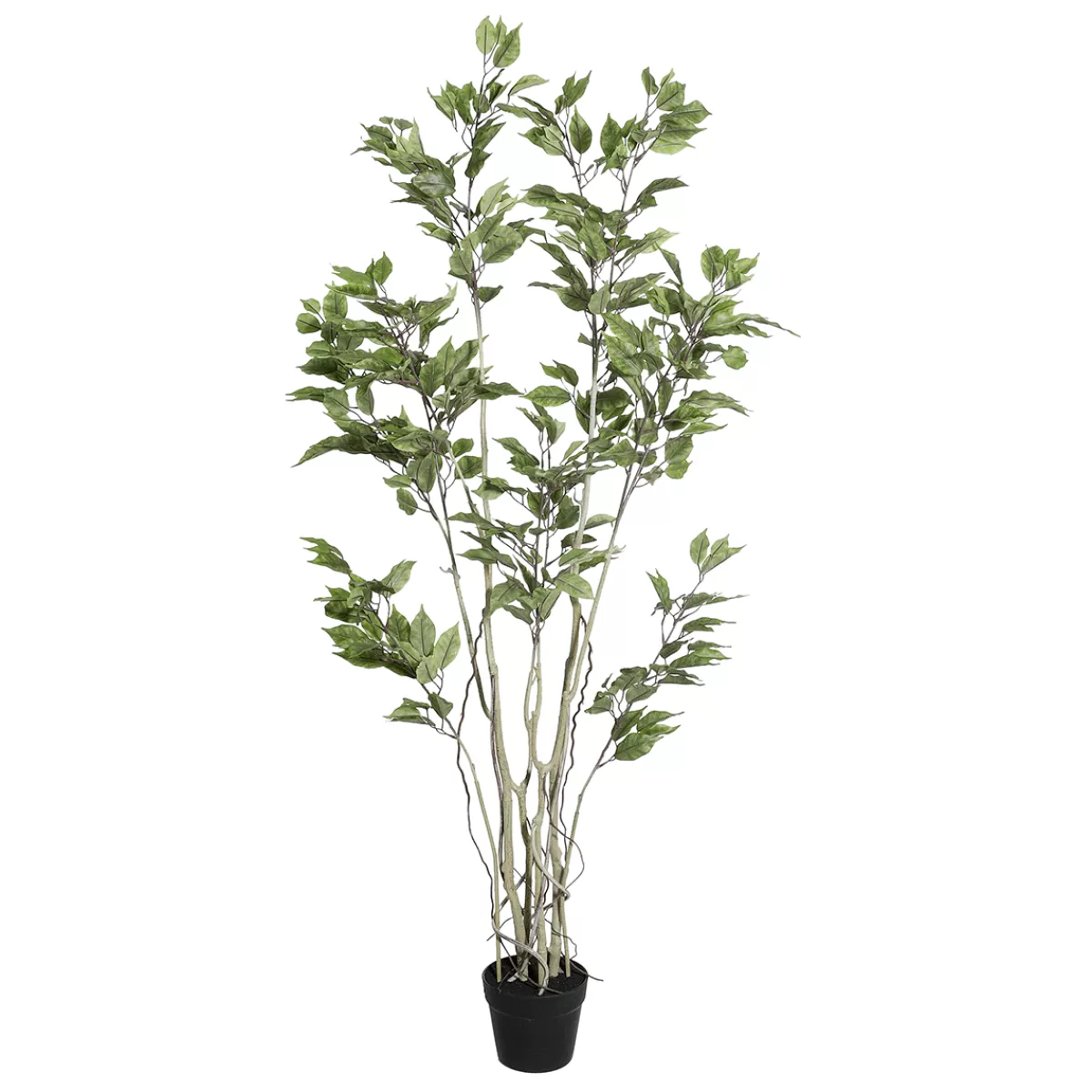 DecoWoerner Ficus Artificiel En Pot