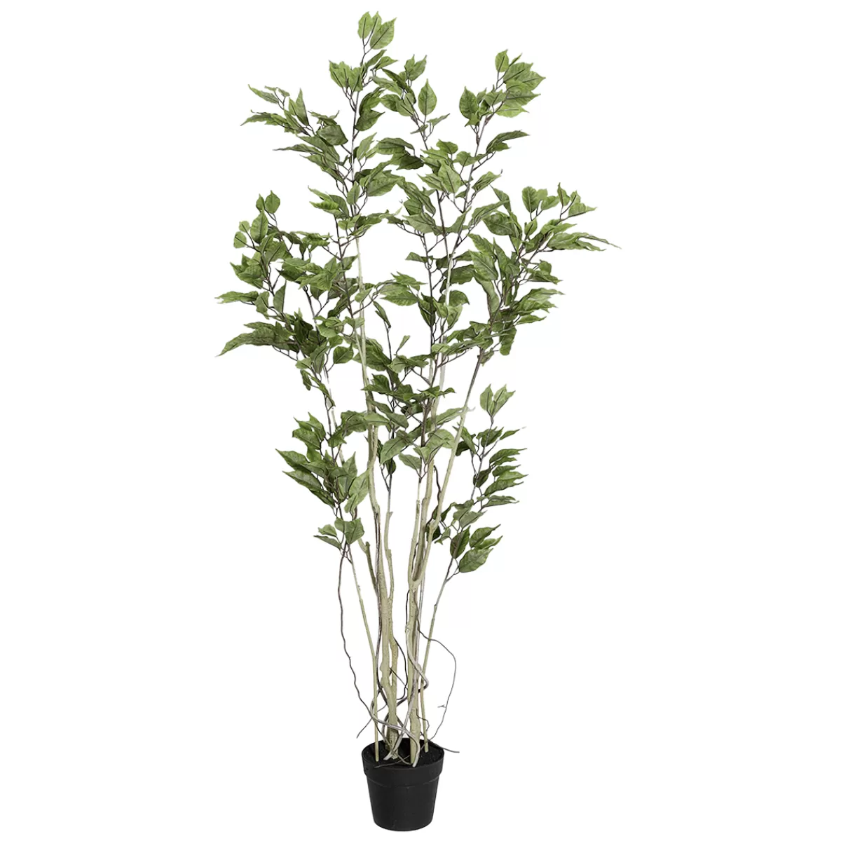 DecoWoerner Ficus Artificiel En Pot