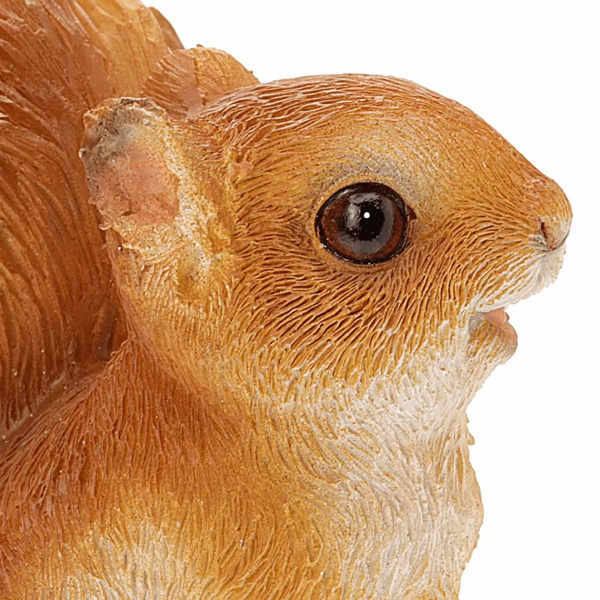 DecoWoerner Figurine Décorative écureuil Avec Gland 13 X 9 X 6 Cm (H X L X P)