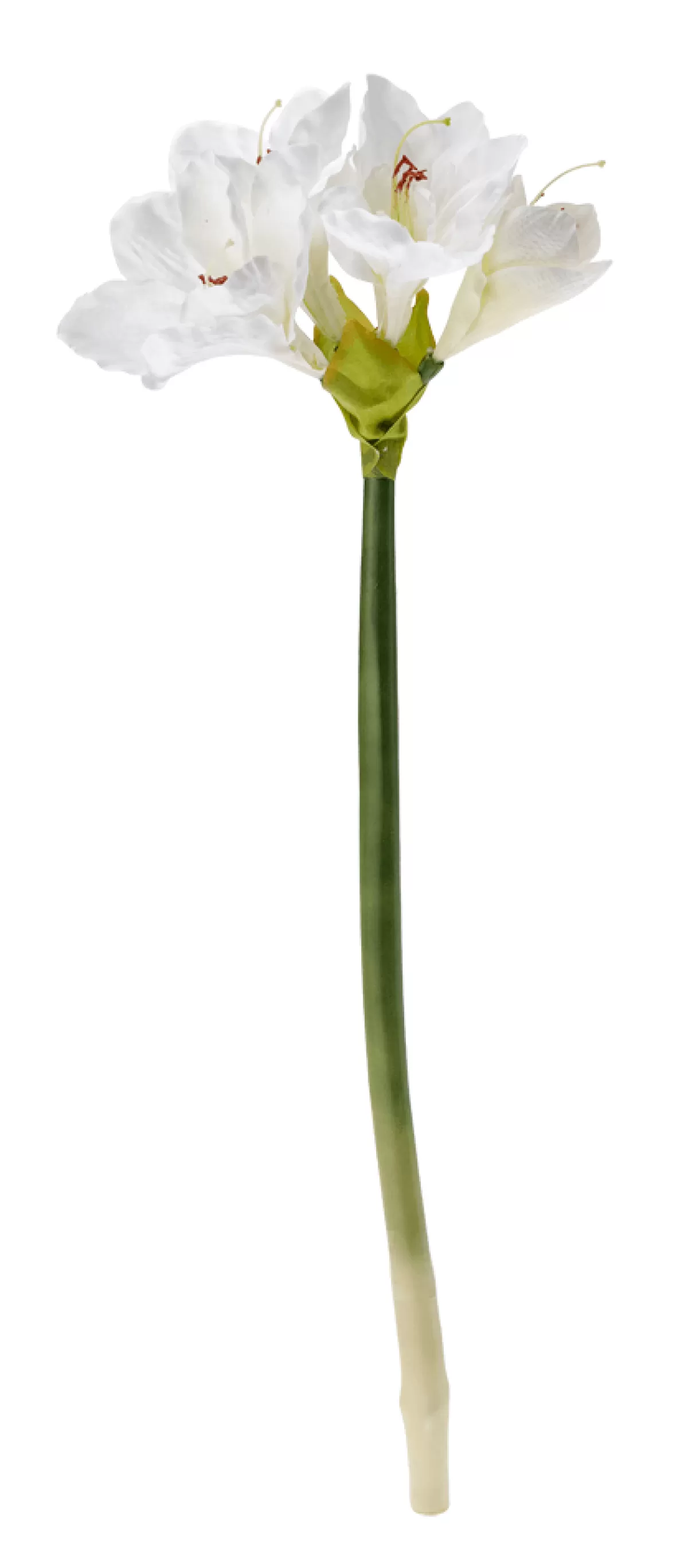 DecoWoerner Fleur Artificielle Amaryllis , 60 Cm