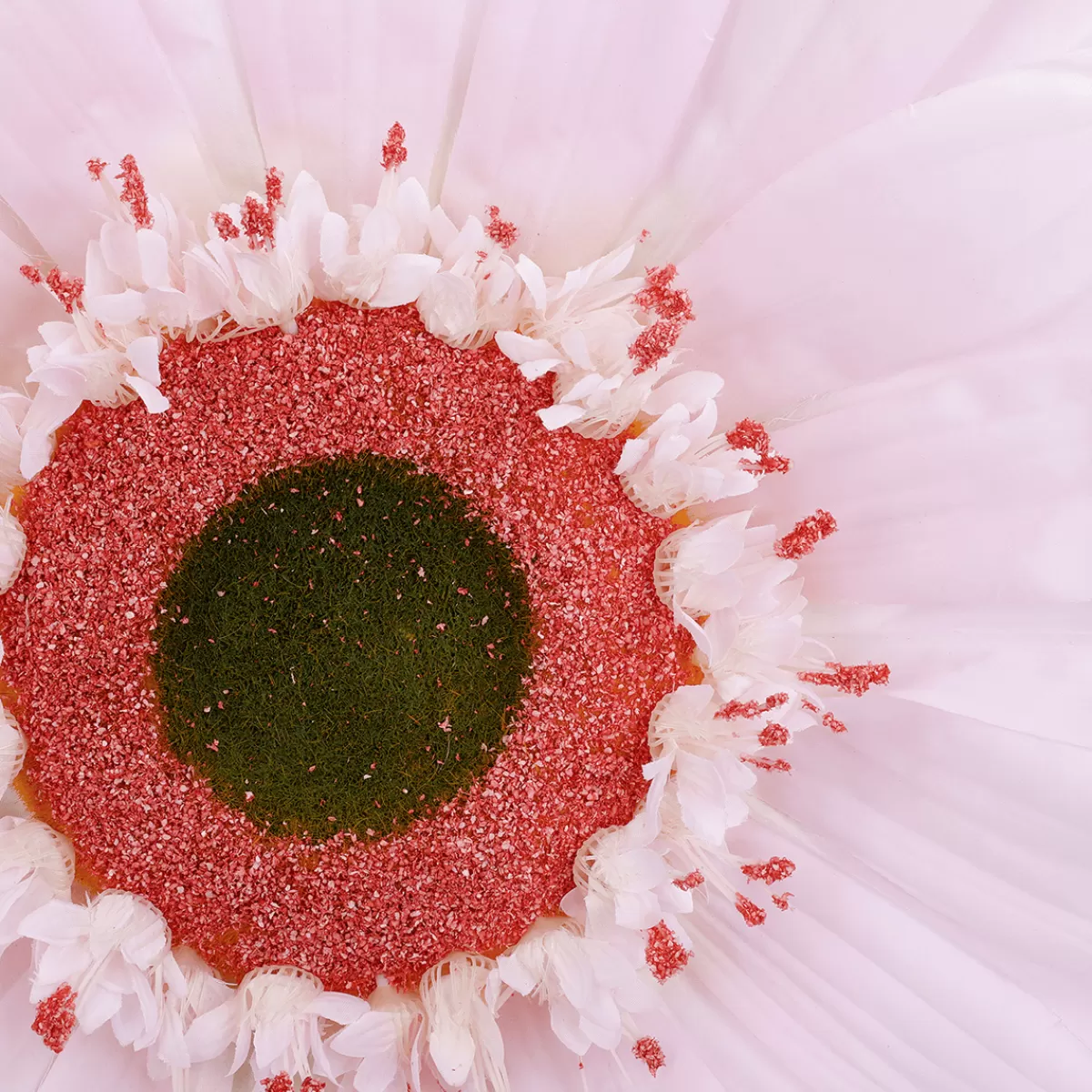 DecoWoerner Fleur De Gerbera Géante, 45 Cm Ø,