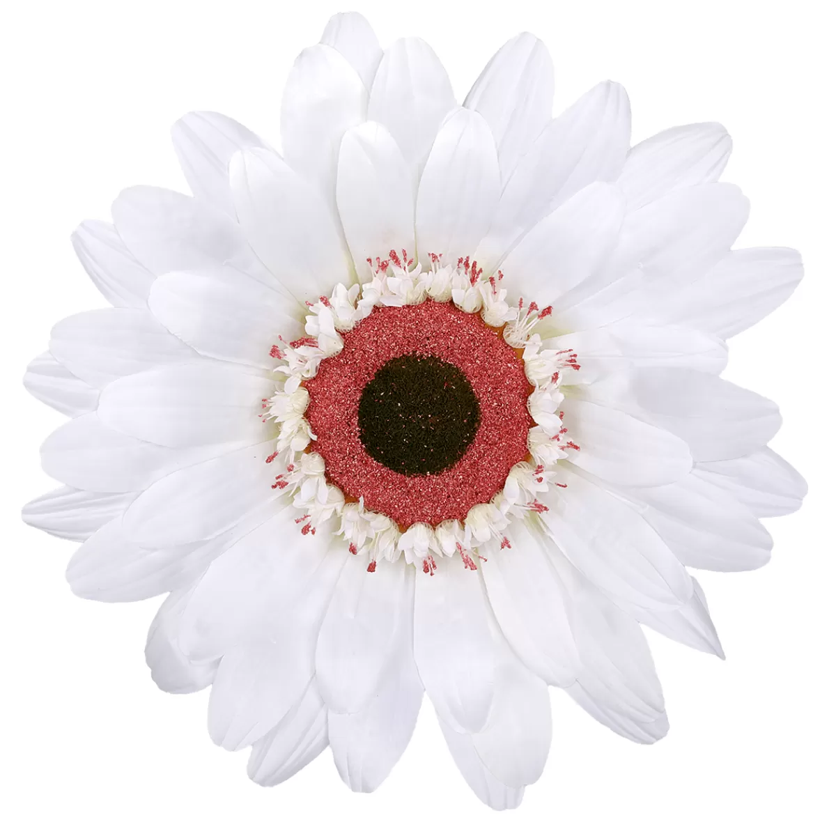 DecoWoerner Fleur De Gerbera Géante Artificiell he