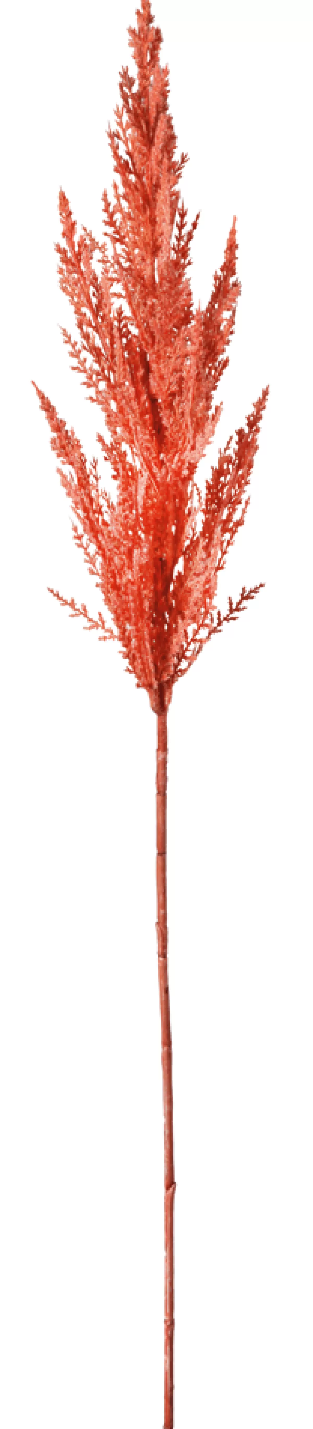 DecoWoerner Gazon De La Pampa En au Décoratif, 94 Cm