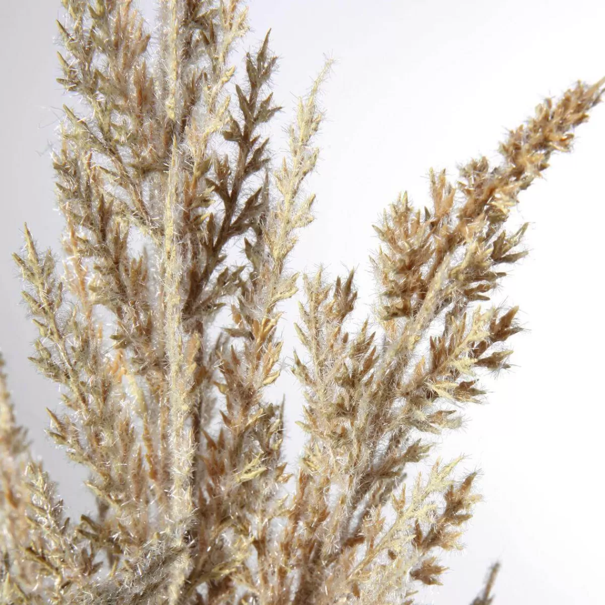 gazon_de_la_pampa_en_roseau_dcoratif_94_cm_2-1.webp DecoWoerner Gazon De La Pampa En Roseau Décoratif, 94 Cm