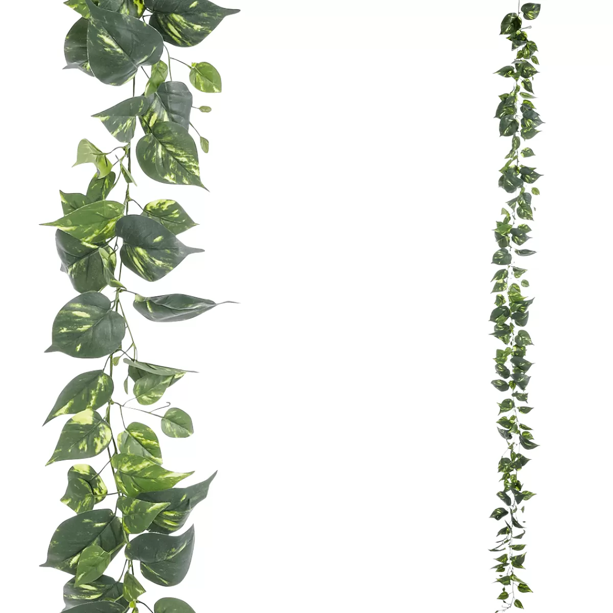 DecoWoerner Guirlande Artificielle Pothos 220 Cm