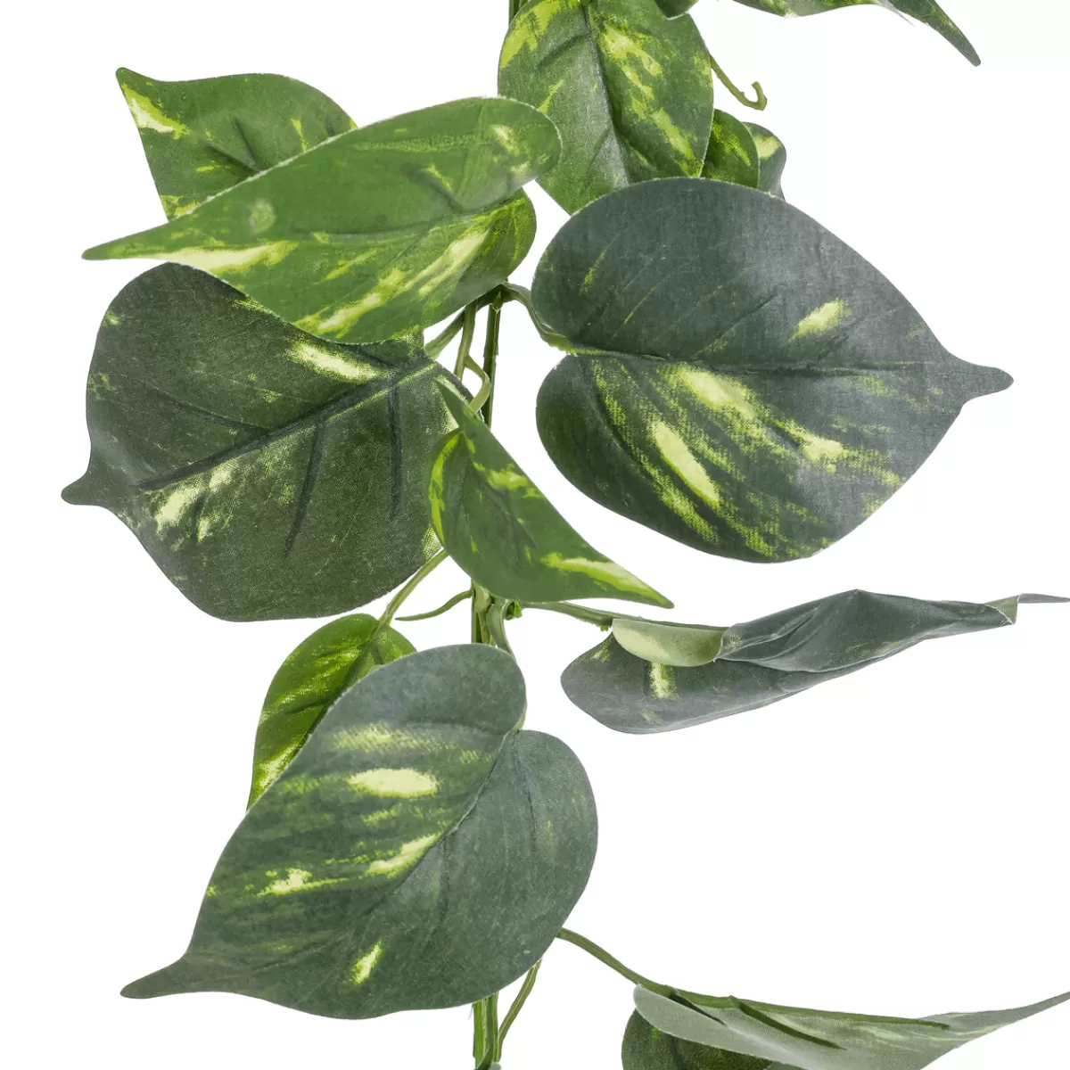 DecoWoerner Guirlande Artificielle Pothos 220 Cm