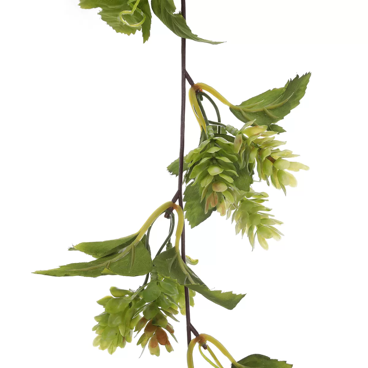 DecoWoerner Guirlande De Houblon Artificielle 180 Cm