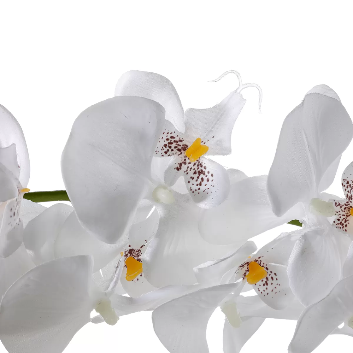 DecoWoerner Guirlande D'orchidées Artificielles hes 175 Cm