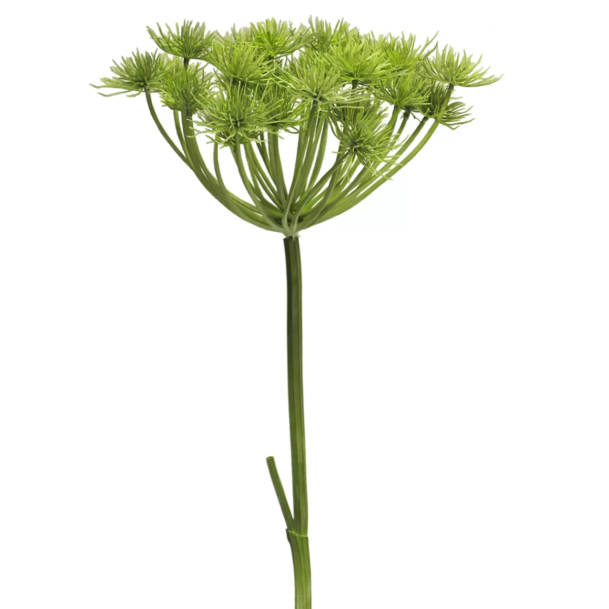 DecoWoerner Heracleum Berce Géante Plante Artificielle 98 Cm