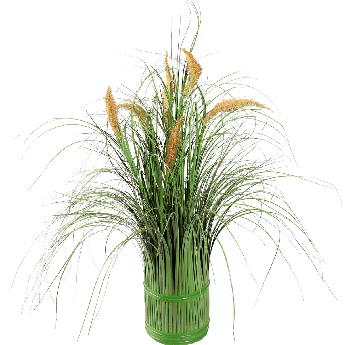 DecoWoerner Herbe Déco à Fleurs De Roseau, 50 Cm