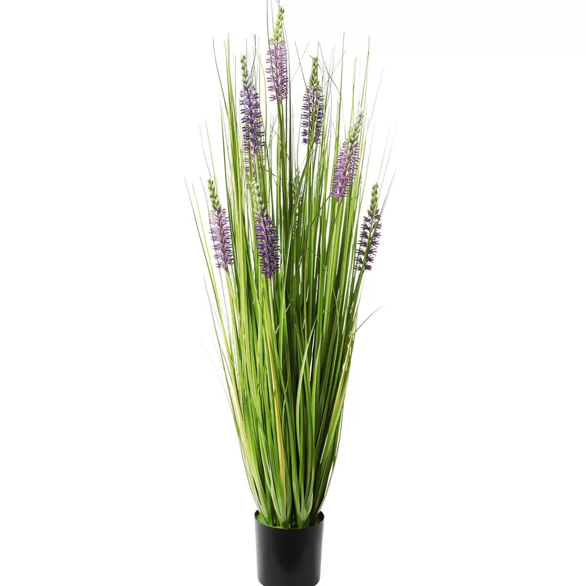 DecoWoerner Herbe Déco Avec Lavande, Haut. 100 Cm