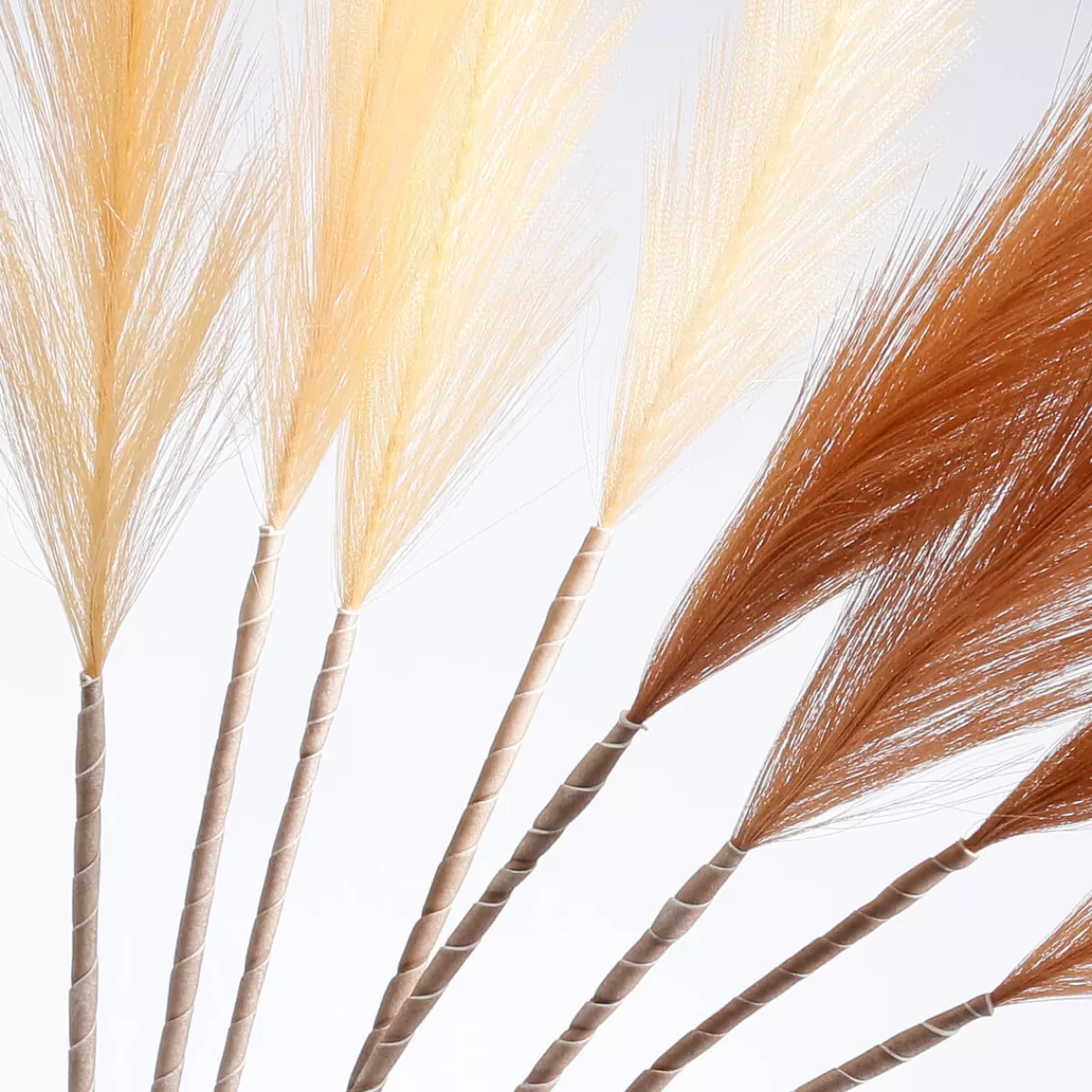 DecoWoerner Herbe De La Pampa Artificielle, Long. 115 Cm, 2 Pces