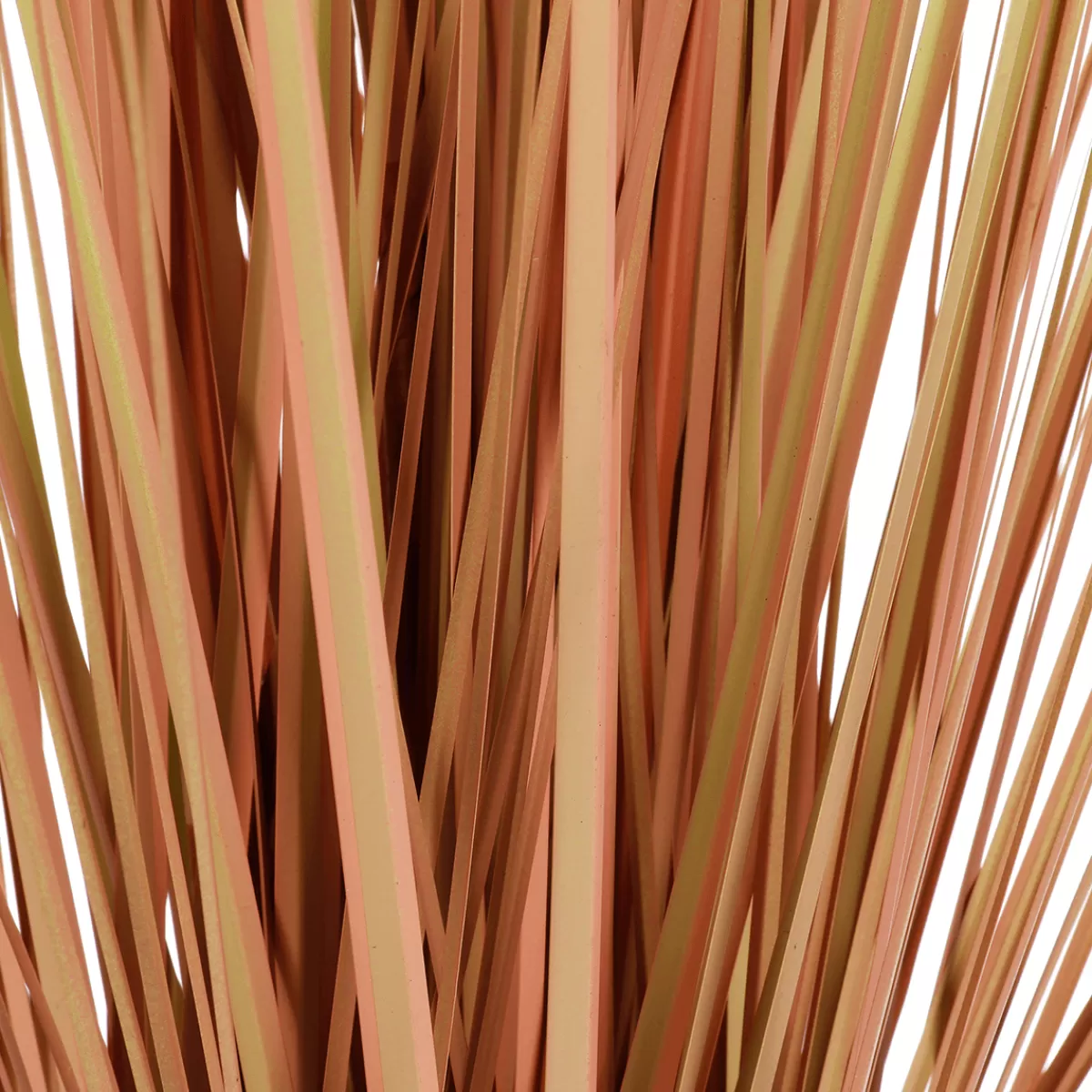 DecoWoerner Herbe De La Pampa Décorative Teintée Dans Un Pot Noir 117 Cm