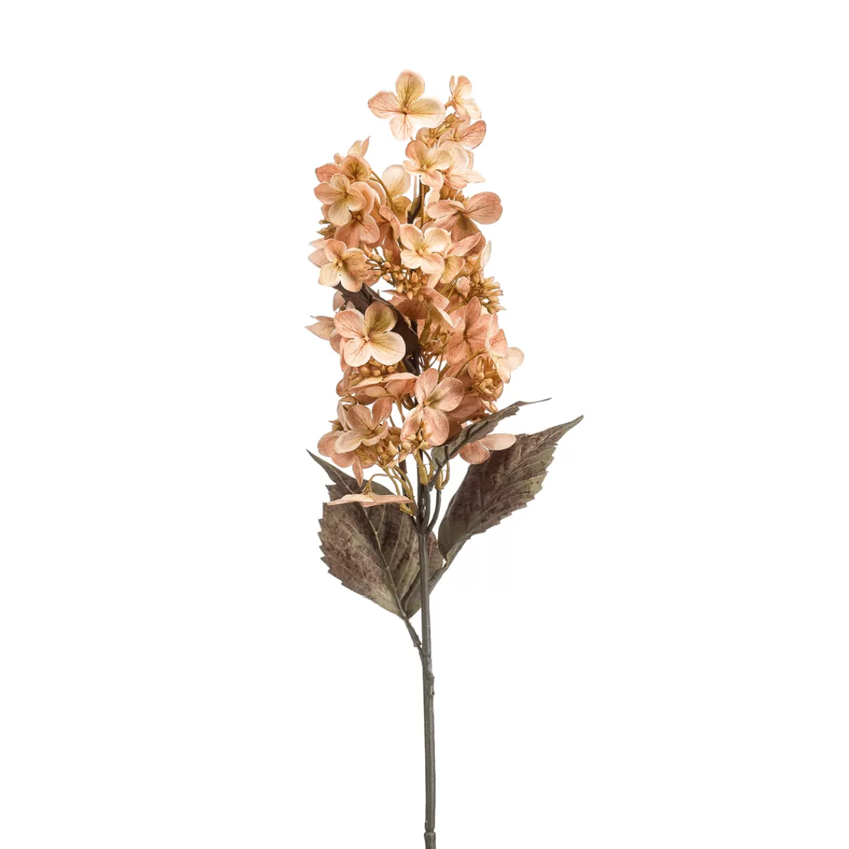 hortensias_artificiels_de_velours_dry_look_beige_70_cm_1.webp DecoWoerner Hortensias Artificiels De Velours DRY LOOK, , 70 Cm