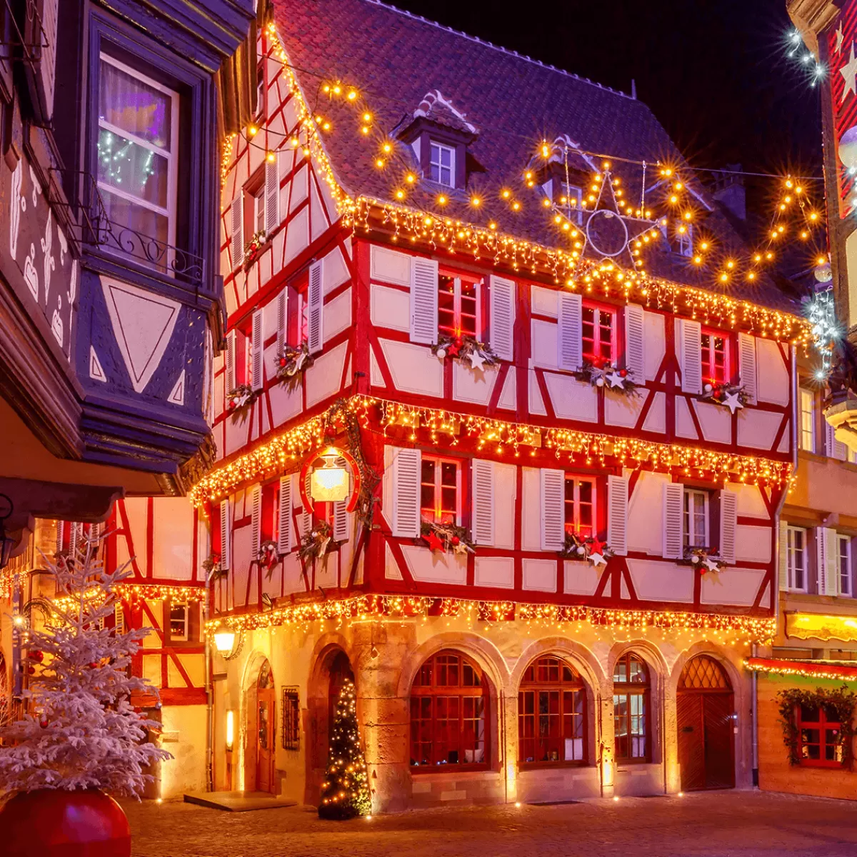 iciclelight_professionnel__led_systme_ip67_114_led_300_x_50_cm_sans_cable_4-1.webp DecoWoerner Icicle-Light Professionnel à LED Système IP67, 114 LED, 300 X 50 Cm, Sans Cable