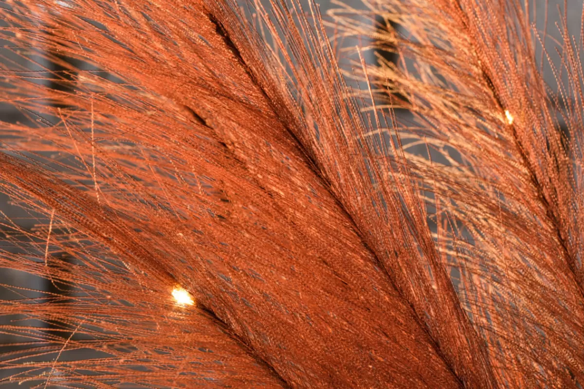 DecoWoerner Jeu De Touffes D'herbe De La Pampa LED Avec Batterie, 118 Cm De Long