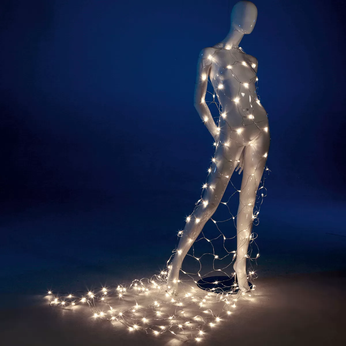 DecoWoerner LED Profi Filet Lumineux Système IP20, 250 Cm Sans Câble, Transparent