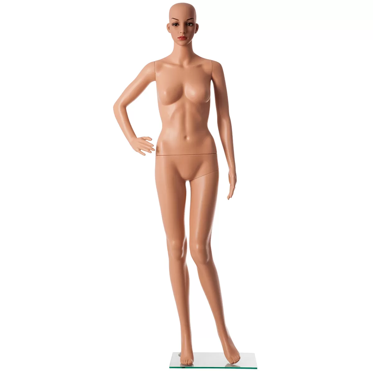 DecoWoerner Mannequin Durable Femme, 178 Cm,