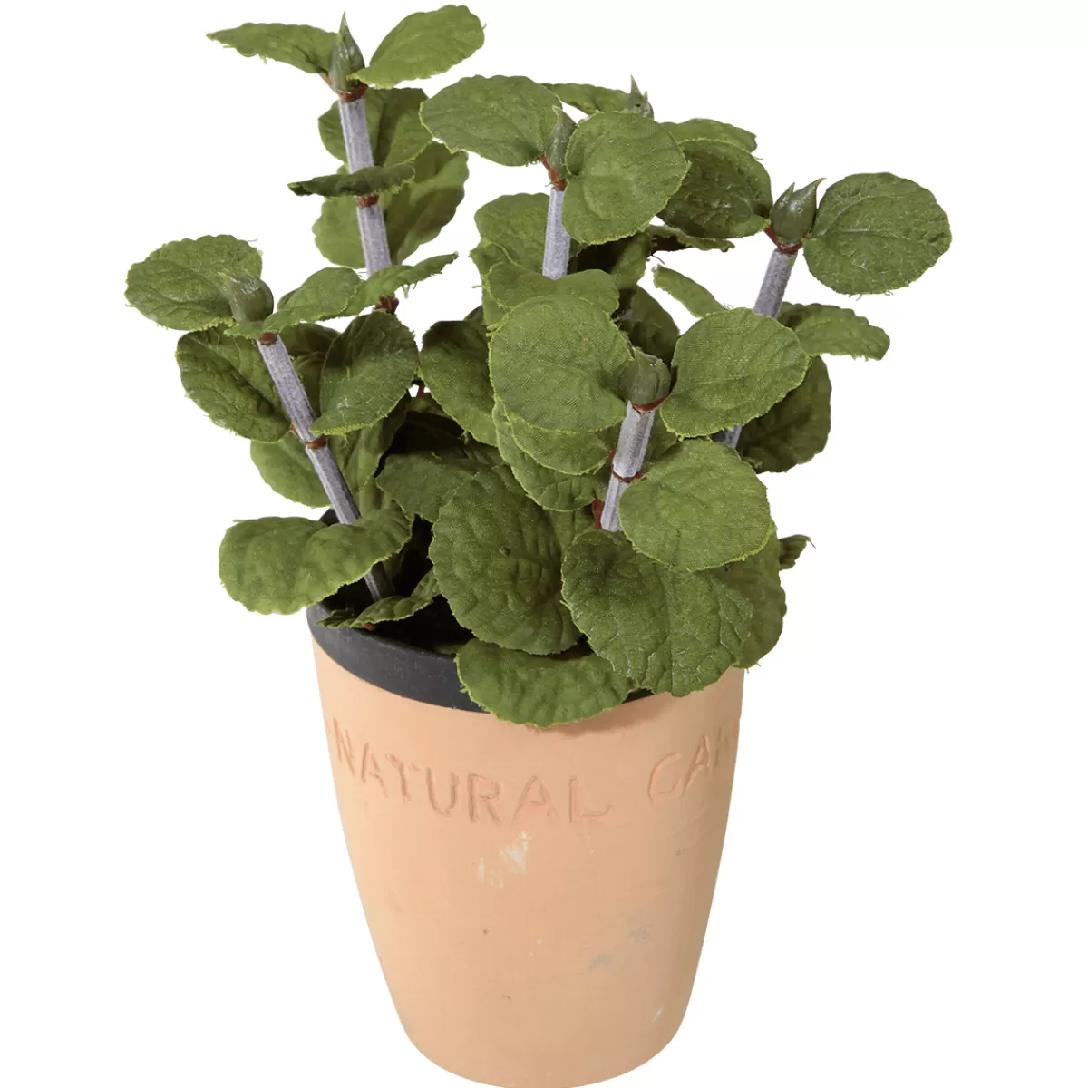 DecoWoerner Menthe Déco Dans Un Pot D’argile 20 Cm