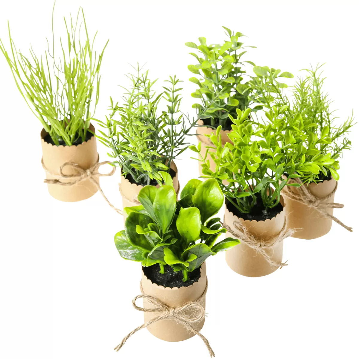 DecoWoerner Mini Herbes En Pot 6 Pièces 15 Cm