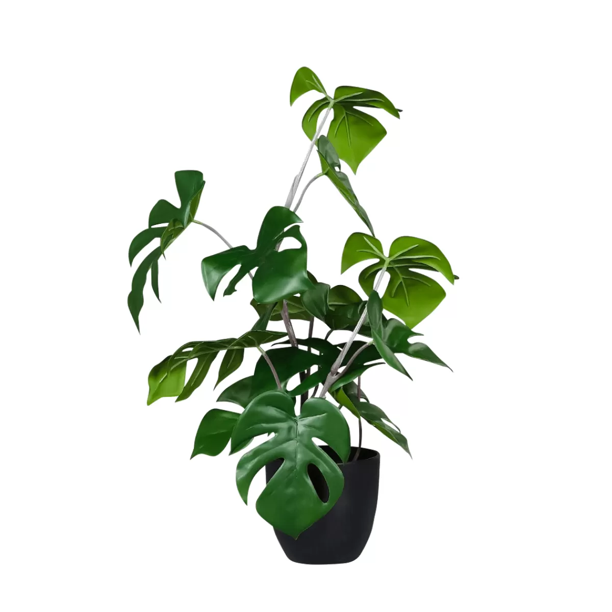 DecoWoerner Monstera En Pot Noir