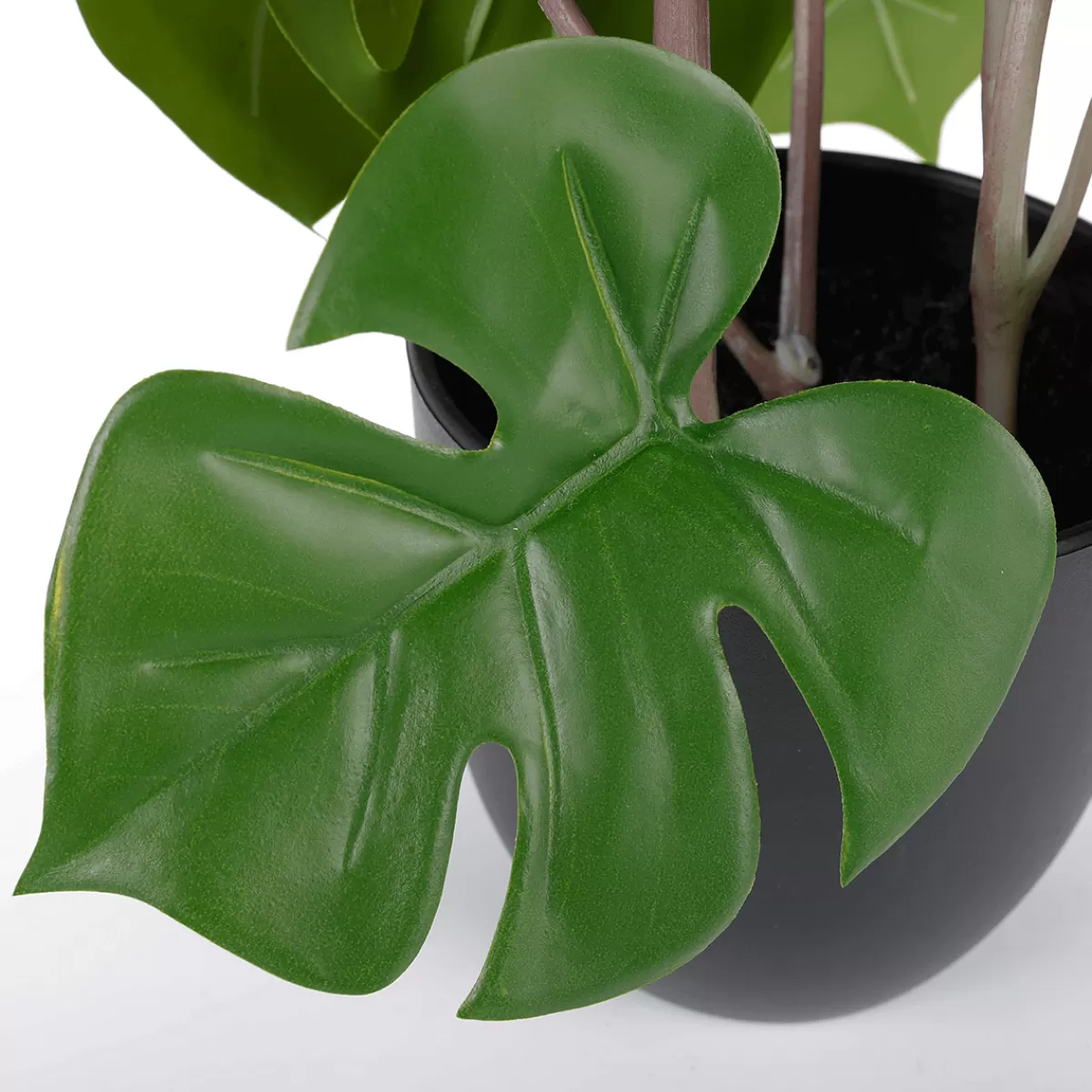 DecoWoerner Monstera En Pot Noir