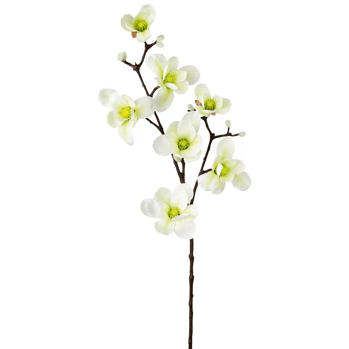 DecoWoerner Noble Branche De Magnolia Artificielle, o Verde, 100 Cm