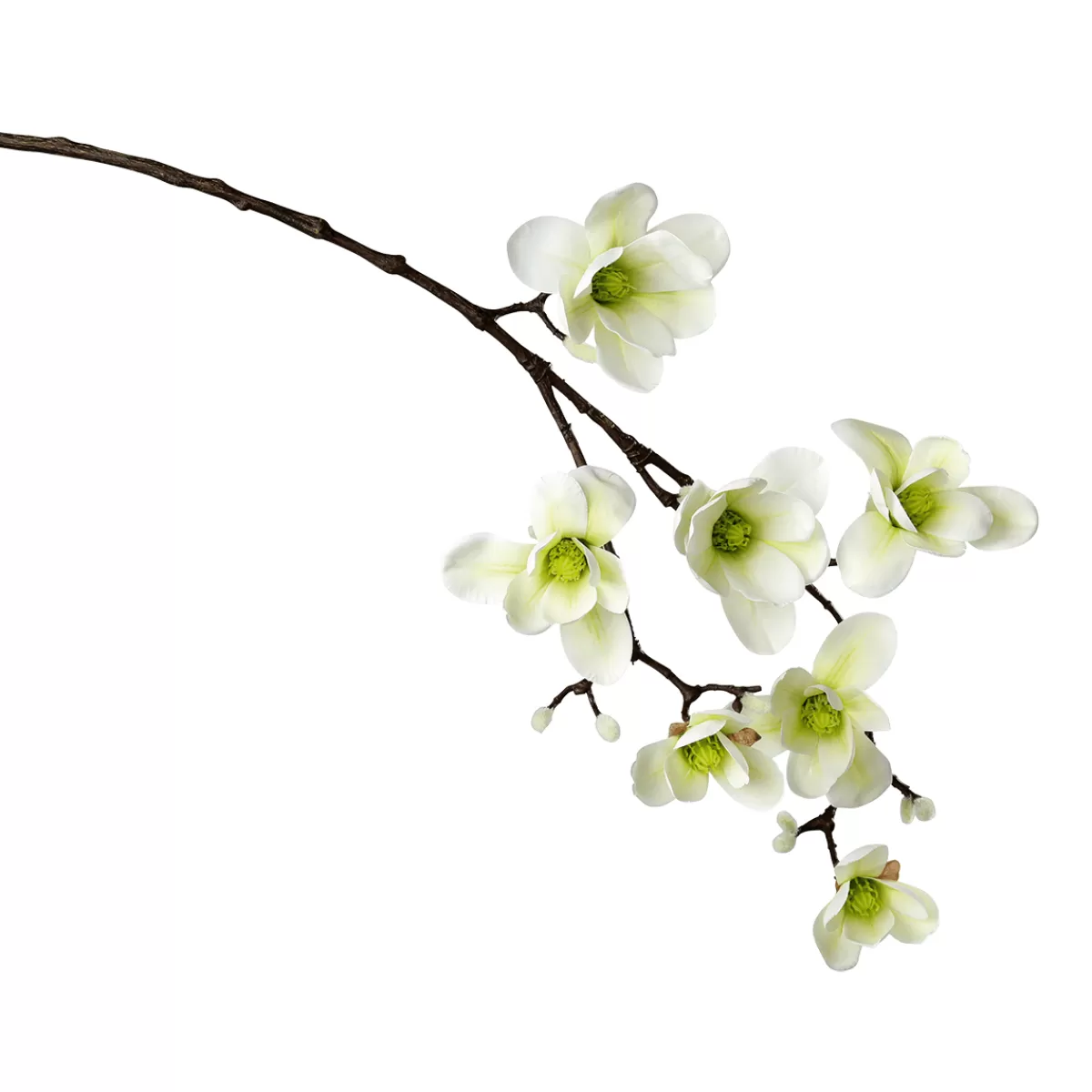 DecoWoerner Noble Branche De Magnolia Artificielle, o Verde, 100 Cm