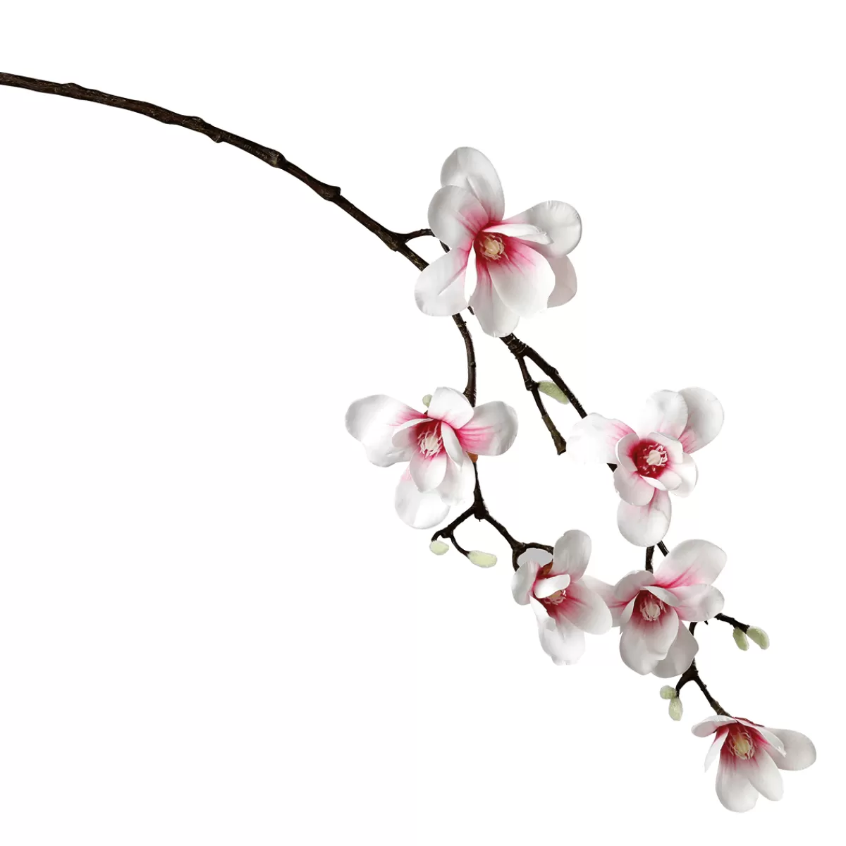 DecoWoerner Noble Branche De Magnolia Artificielle, Rose, 100 Cm