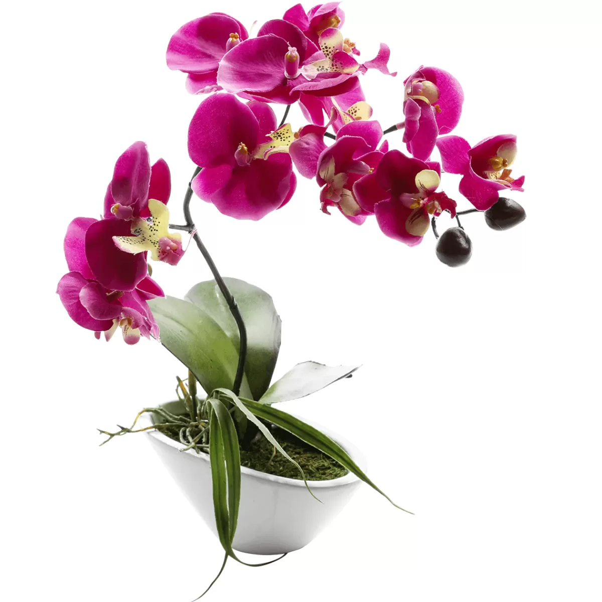 DecoWoerner Orchidée Artificielle En Pot, 28 Cm