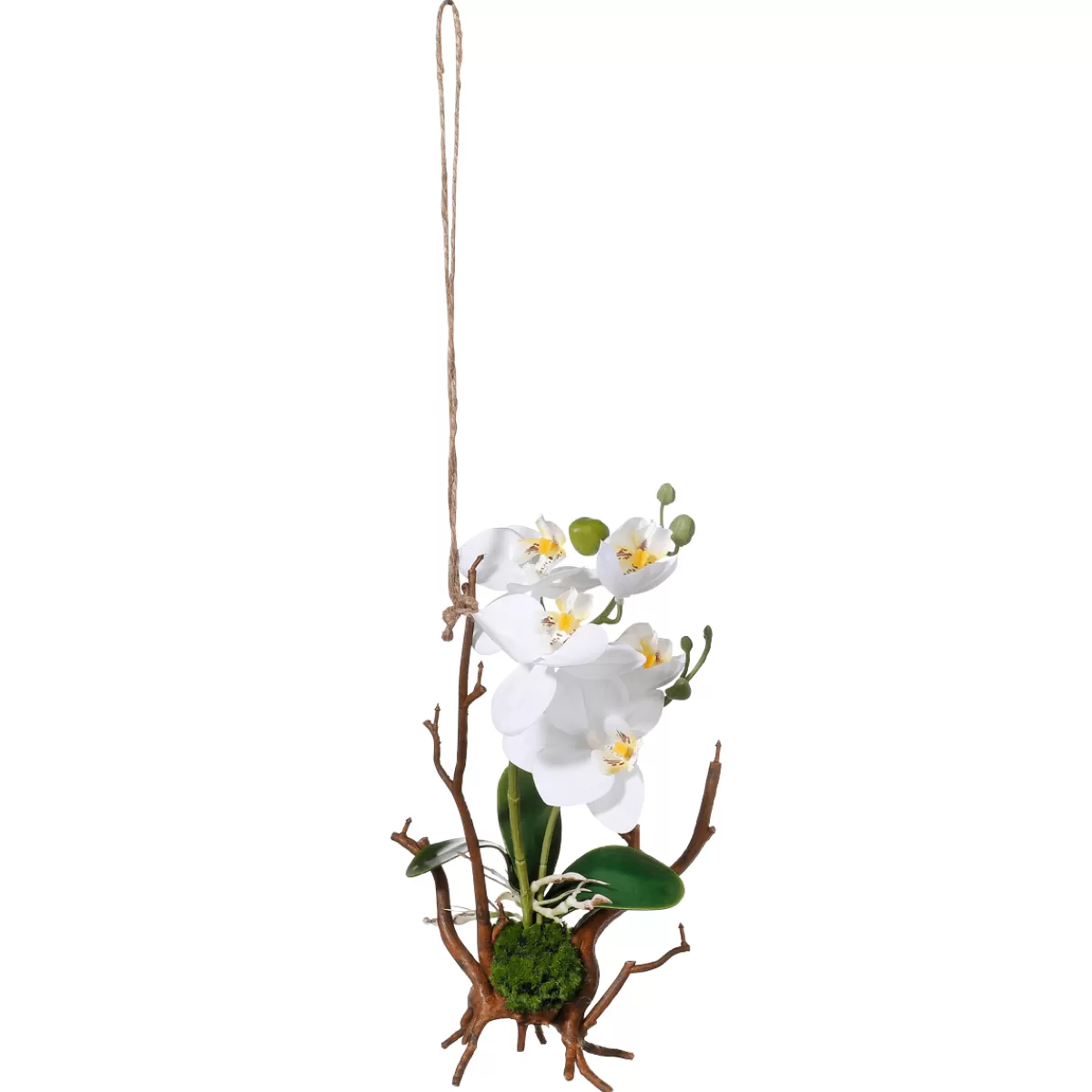 DecoWoerner Orchidée Artificielle Suspendue, 32 Cm he, Sur Tige En Bois Artificielle