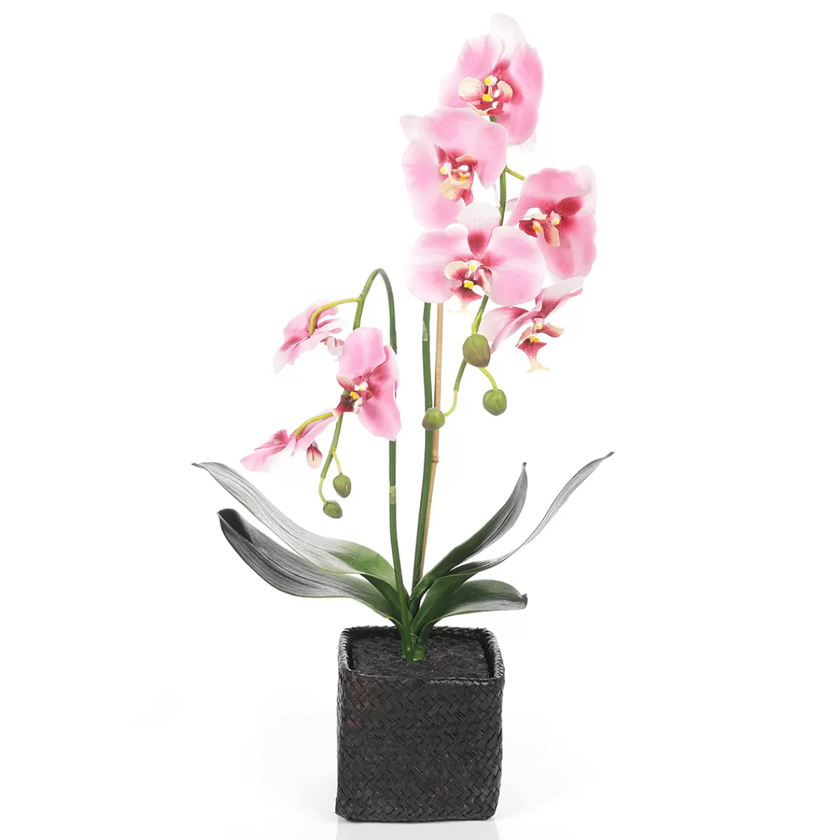 DecoWoerner Orchidée Décorative En Pot 80 Cm